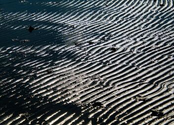 Beach Walk - Free image #494867
